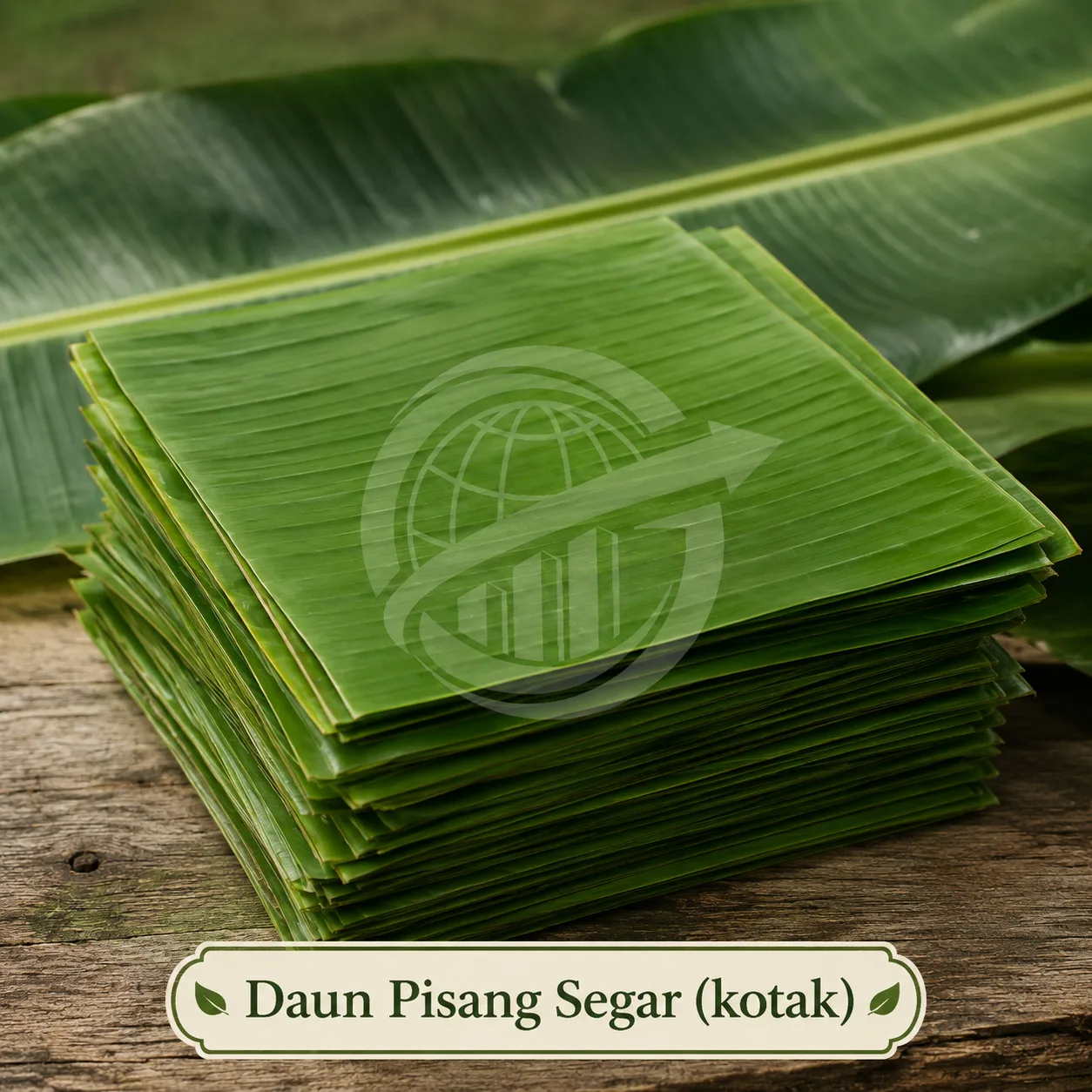 Daun Pisang Segar