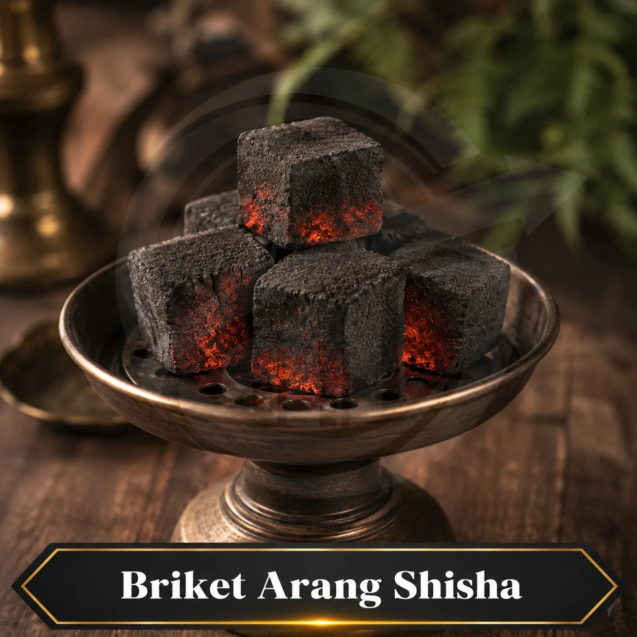 Briket Arang Shisha