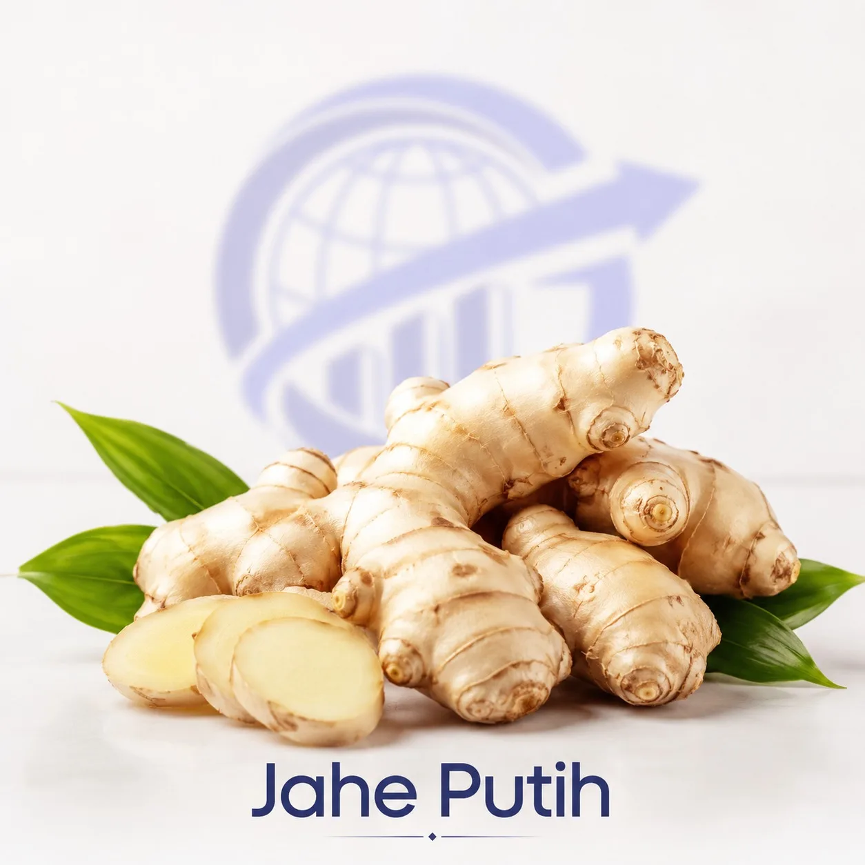 Jahe Putih